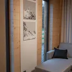 Svoyska Osada Debno (Nowy Targ)